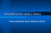 Estratificación racial y étnica (cap. 9) 10