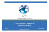 TCS presentación de servicios Telco Corporative