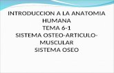 6-1-SISTEMA OSTEOARTICULO-MUSCULAR-OSEO.ppt