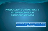 PRODUCCIÓN DE VITAMINAS  Y FITOHORMONAS POR MICROORGANISMOS.pptx