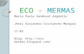 Proyecto Eco -mermas 11-03