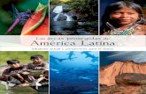 Las áreas protegidas de America Latina baja, un libro preciso por lo demás.