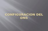CONFIGURACION DE DNS