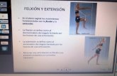 Flexion y extensión