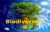 Biodiversidad (Pilar Y Eva)