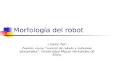 Morfología del robot