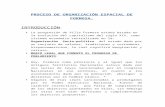 PROCESO DE ORGANIZACIÓN ESPACIAL DE FORMOSA