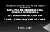 Universidad michoacana de san nicolas de hidalgo (3)