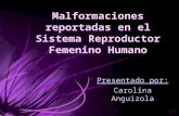 Malformaciones En El Sistema Reproductor Femenino