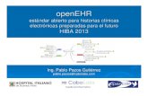 Taller de implementación de openEHR - HIBA 2013
