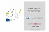 Jornada smeSpire en España. El proyecto smeSpire y las empresas geo-TIC