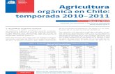 4. Agricultura Organica en Chile
