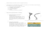 Instrumentos Para Cirugia Periodontal