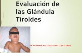Evaluación de las Glándula Tiroides