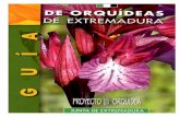 Botanica - Flora Iberica - Libro - Guia de Orquideas de Extremadura