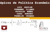 Tópicos de Política Económica DEFINITIVO (1).ppt