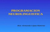La Programacion Neurolinguistica Pnl 24639