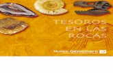Geologia & Catalogo Minerales y Fosiles