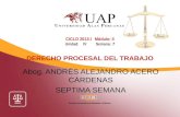 AYUDA 7 - El Proceso Ordinario Laboral.ppt