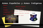 Armas Españolas y Armas Indígenas