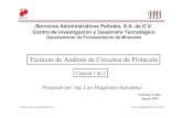 Analisis Circuitos Flotacion carpeta 1 agt-11.pdf