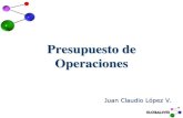 Tema presupuesto de operaciones.pdf