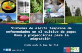 Sistemas de alerta temprana de enfermedades en el cultivo de papa:  Usos y proyecciones para la adaptación