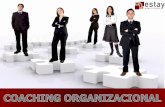 2011 coaching organizacional