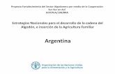 Estrategias Nacionales de desarrollo de la cadena del algodón en Argentina.