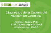 Diagnóstico de la Cadena del Algodón en Colombia.