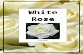 White Rose - Anna Blake