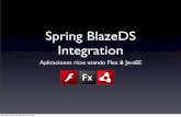 [SCD2010] Spring Flex BlazeDS Integration