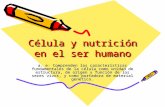 Célula y nutrición en el ser humano, 8vo