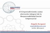 El Emprendimiento como elemento integral de la Responsabilidad Social Empresarial