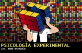 Psicología experimental i
