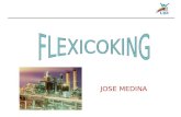 Flex i Coking