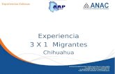 Experienciaexitosadeliciaschihuahua 121130131456-phpapp01-130218203746-phpapp01