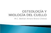OsteologíA Y MiologíA Del Cuello