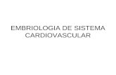 Embriologia de sistema cardiovascular