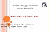 Circulación extracorporea
