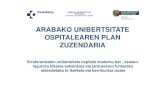 Arabako Unibertsitate Ospitalearen Plan Zuzendaria