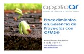 Procedimientos  en Gerencia de Proyectos con OPM3®