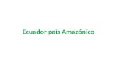 Ecuador pais amazonico