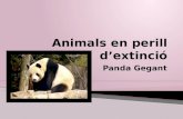 Animals en perill d'extincio