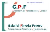 Presentación Portafolio De Servicios Gabriel Pineda Forero GPF DO