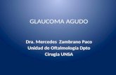 Glaucoma agudo 2013