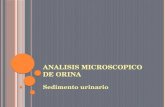 Analisis microscopico de orina