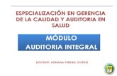 Auditoria Integral 2013 -1