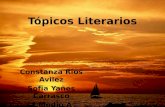Topicos literarios 2