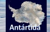 Antártida 1ºeso c